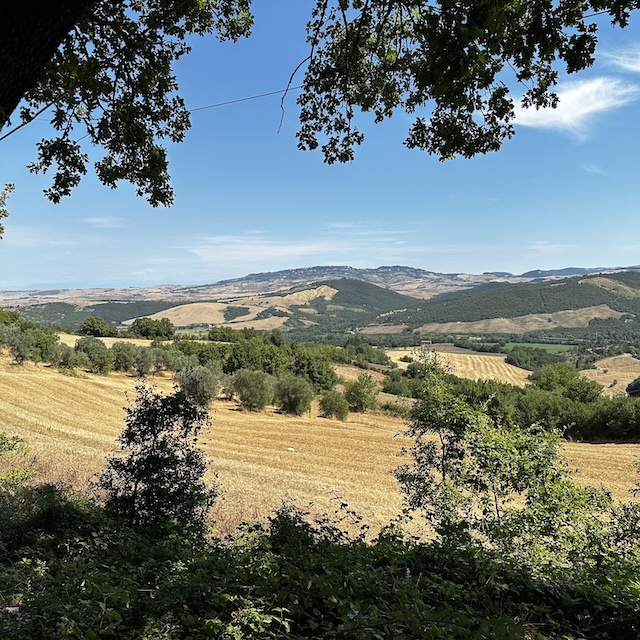 Meet the Blogger ABC - Gewoon Iloon