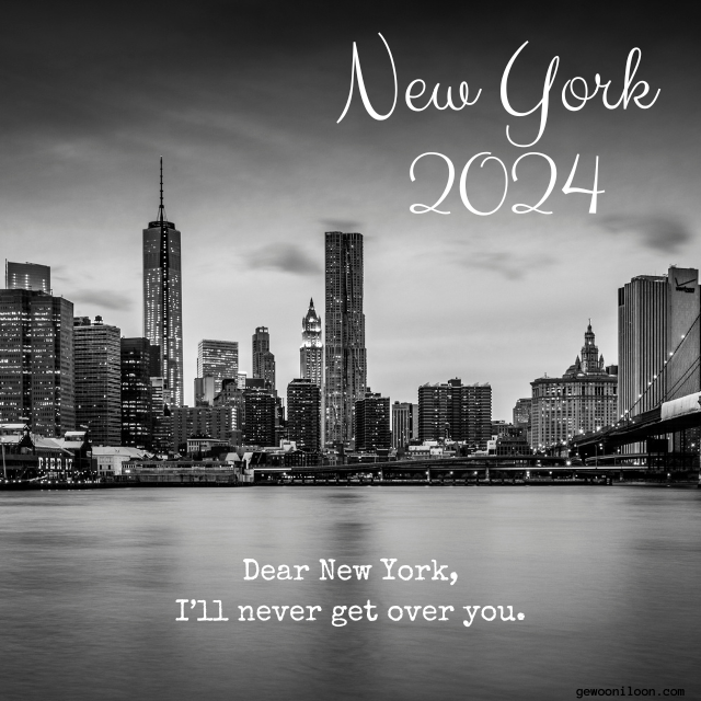 Vlot gelezen New York 2024 Reizen Gewoon Iloon