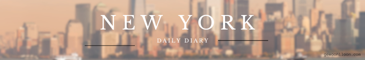 New York Daily Diary UA 3