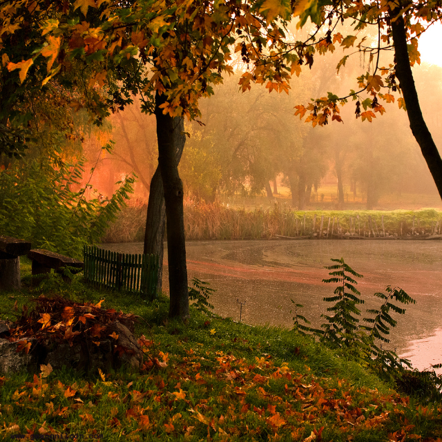 Gewoon Iloon schrijft herfst 2024 2