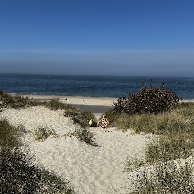 18.25.3 De week in foto's #242