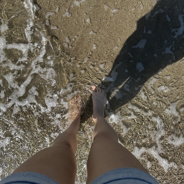 18.25.4 De week in foto's #242