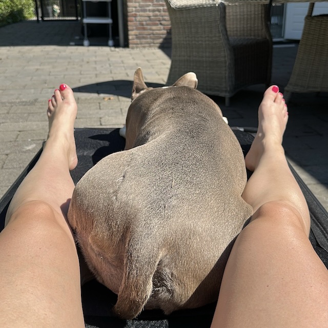 18.25.7 De week in foto's #242