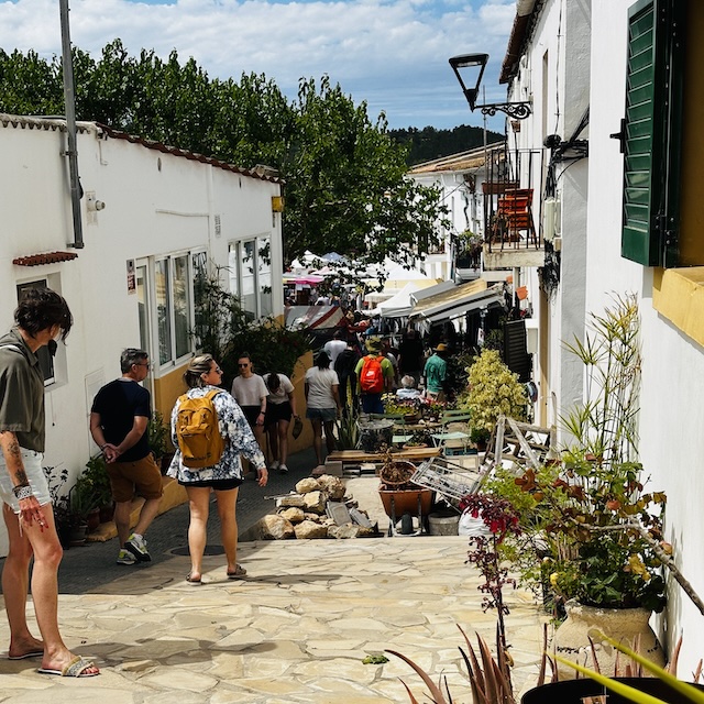 19.25.1 De week in foto's #243