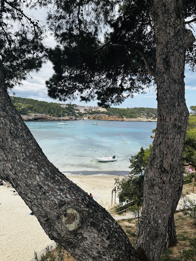 19.25.27 De week in foto's #243