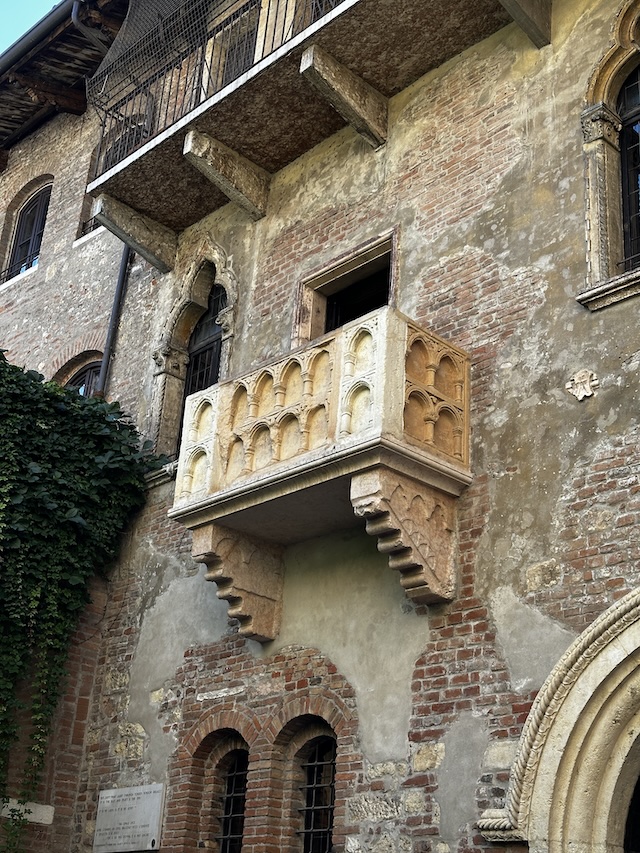 31.25.8 De week in foto's #246