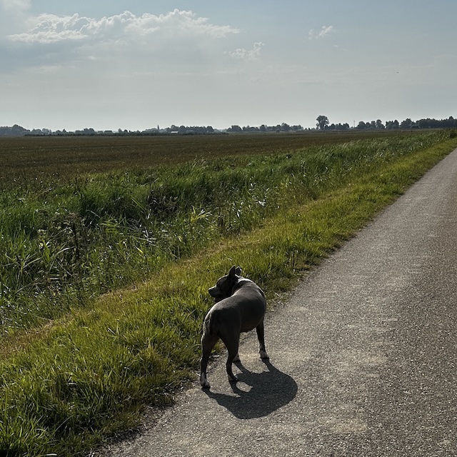 33.25.5 De week in foto's #248