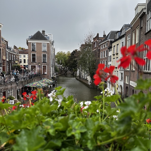 40.25.10 De week in foto's #255