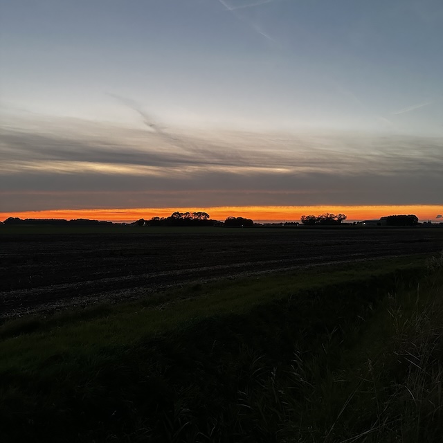 40.25.3 De week in foto's #255