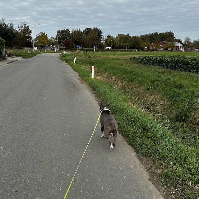 43.25.5 De week in foto's #256