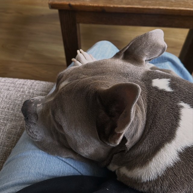 nieuwe update - Luna