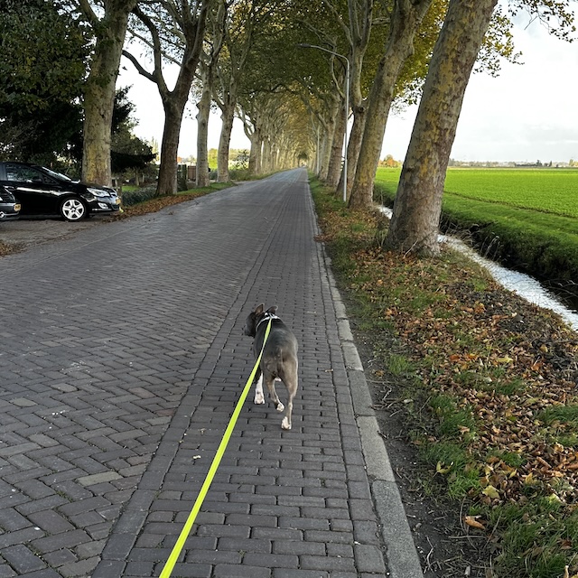 44.25.1 De week in foto's #257