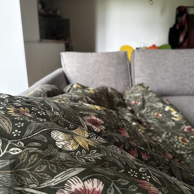 45.25.4 De week in foto's #258