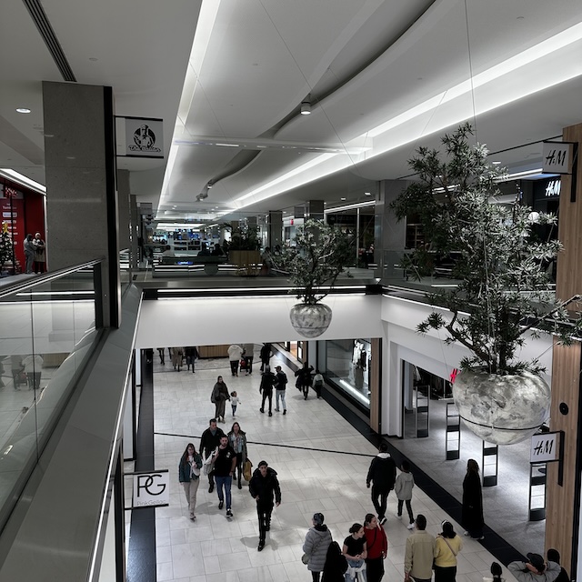 46.25.12 De week in foto's #259