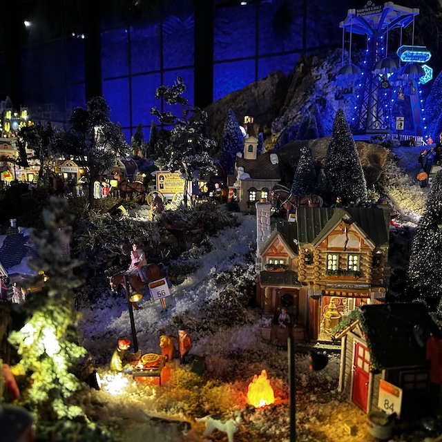 46.25.8 De week in foto's #259