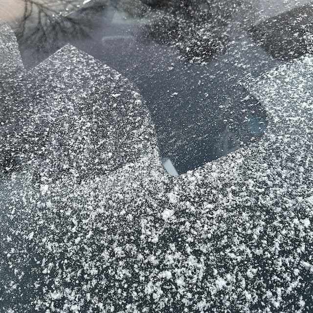 47.25.11 De week in foto's #260