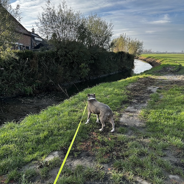 47.25.12 De week in foto's #260