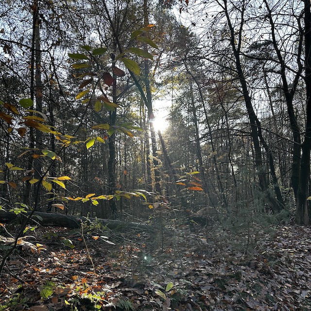 47.25.3 De week in foto's #260