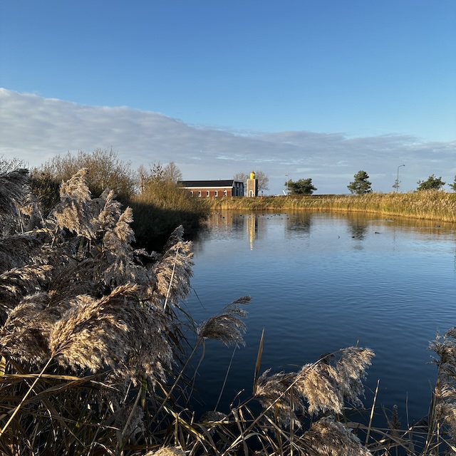 48.25.6 De week in foto's #261 - Gewoon Iloon