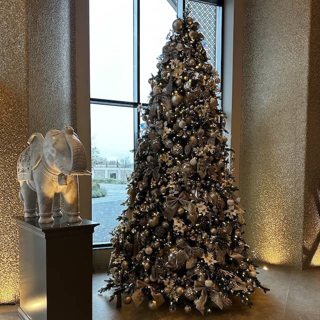 48.25.9 De week in foto's #261