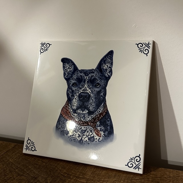 Luna - Verjaardagscadeautjes - Gewoon Iloon