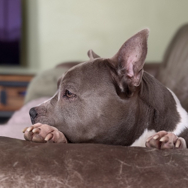 51.25.4 De week in foto's #264