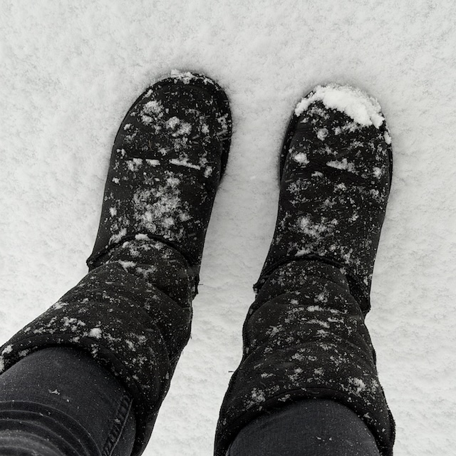 02.26.1 De week in foto's #266