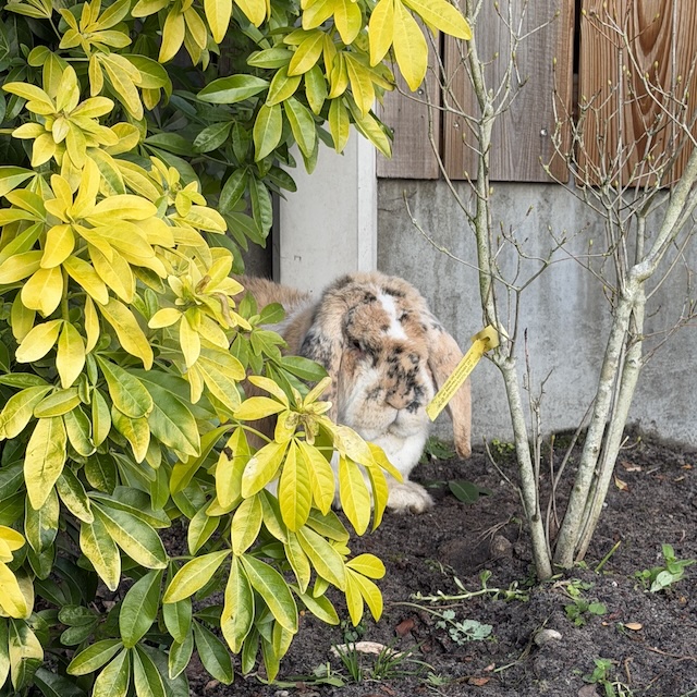 03.26.12 De week in foto's #267