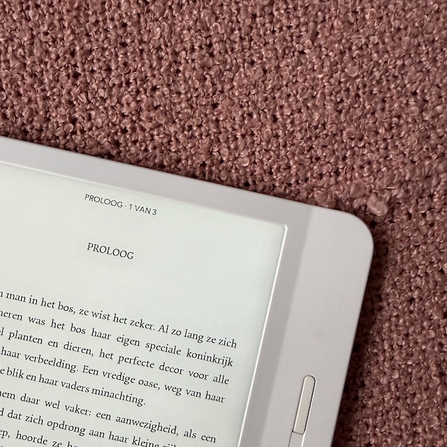 Nu ben je van mij 2 - Lisa Regan - Gewoon Iloon