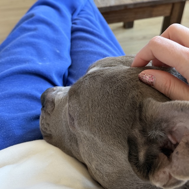 07.26.8 De week in foto's #271