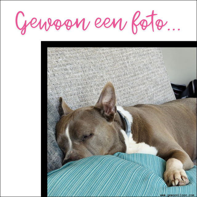 Kroelen met Luna - UA