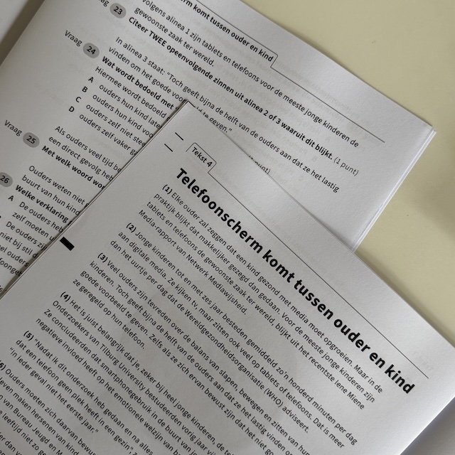 Examens nakijken - Dag 51 - Gewoon Iloon