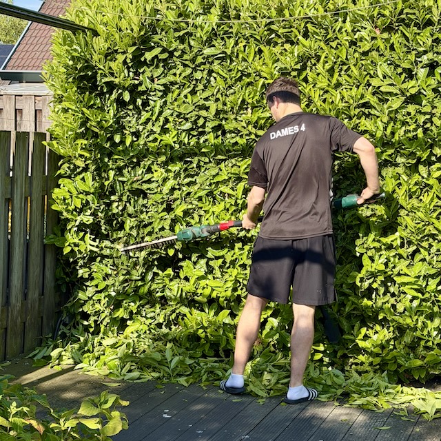 Nieuwe hobby - Dag 41 - Gewoon Iloon