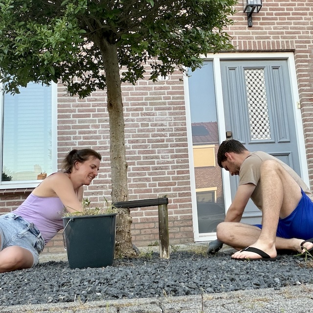 Onkruid vergaat niet - Dag 57 - Gewoon Iloon