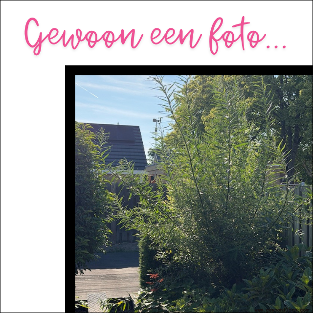 Avondje tuinieren - UA