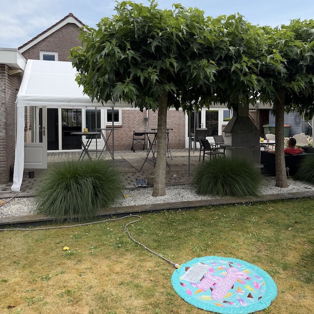 Feest! - Dag 70 - Gewoon Iloon