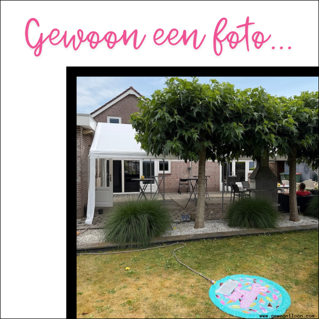 Feest - UA
