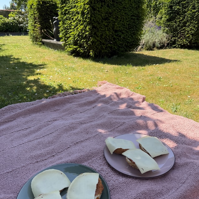 Picknicken in de tuin -Dag 63 - Gewoon Iloon