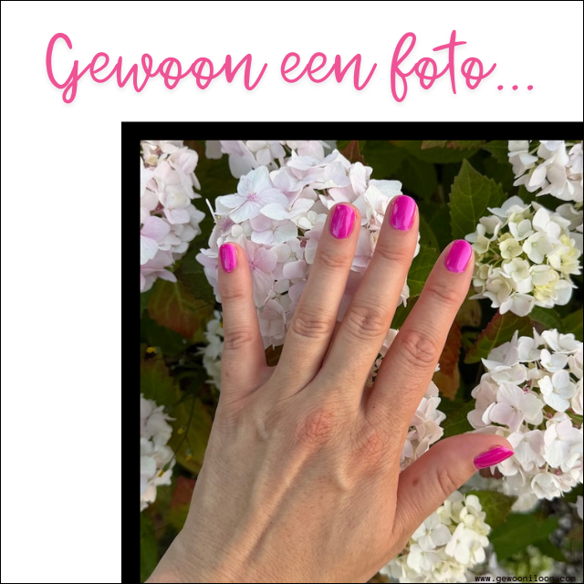 Zin in de zomer - UA