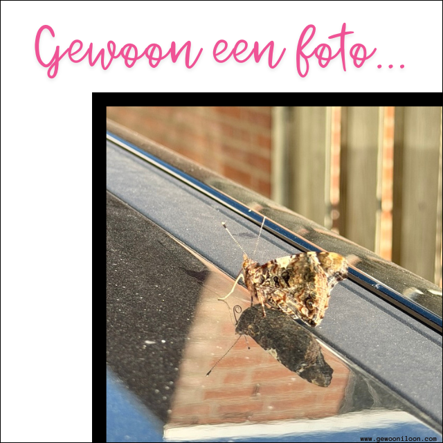 Vlindertje - UA