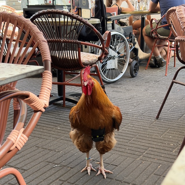 33.26.7 De week in foto's #280