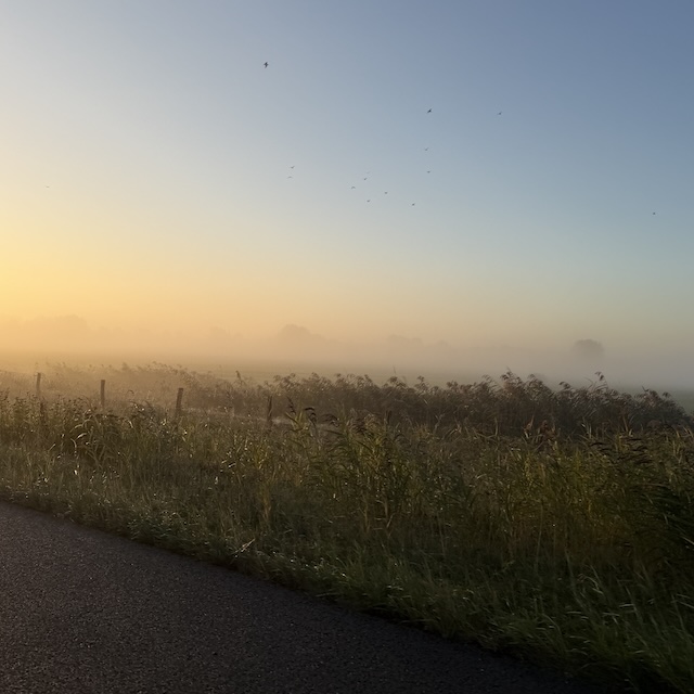 37.26.1 De week in foto's #282