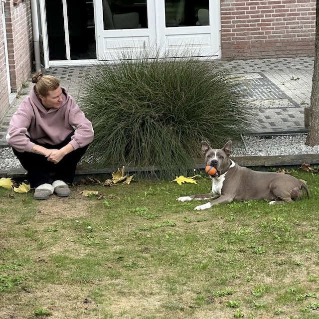 38.26.7 De week in foto's #283