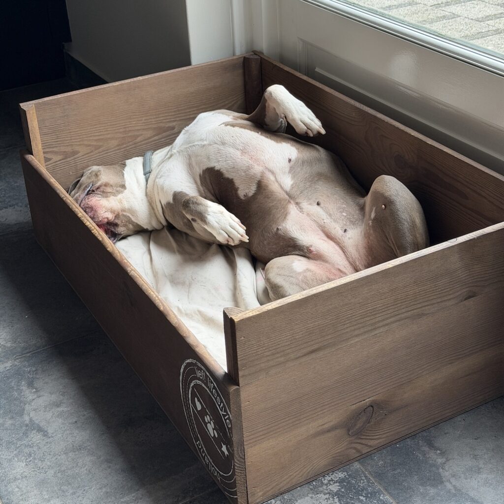39.26.1 De week in foto's #284