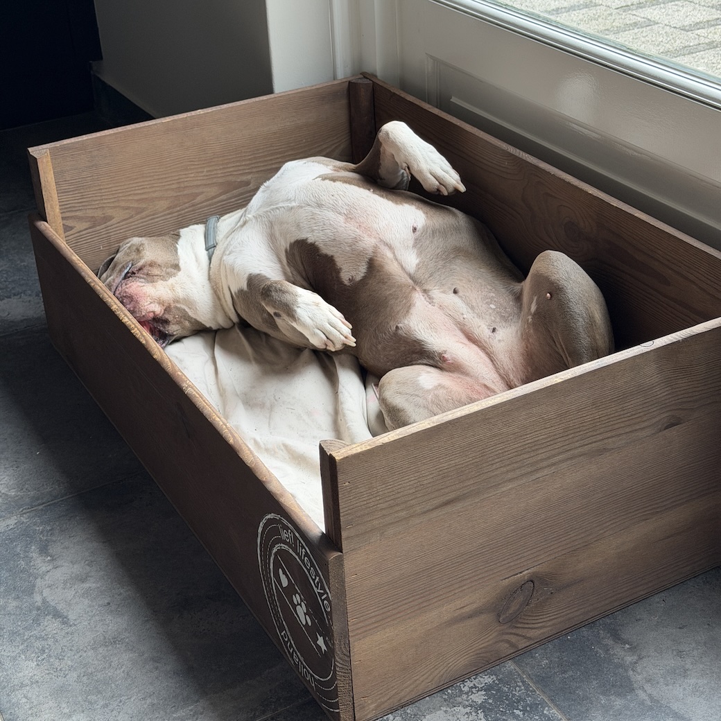 39.26.1 De week in foto's #284