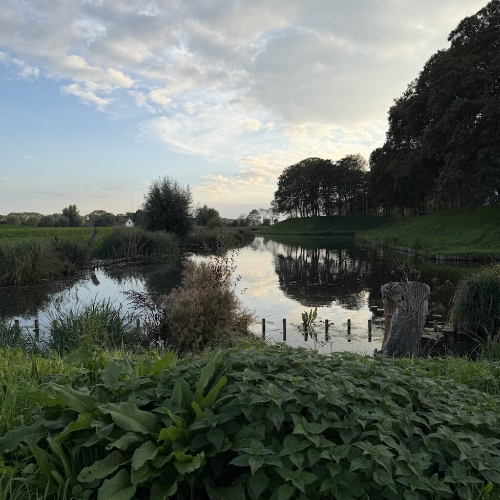 39.26.7 De week in foto's #284