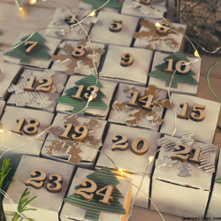 Adventskalender 2026 - Gewoon Iloon